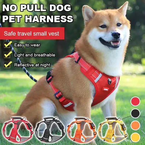 Dog Walking Harness
